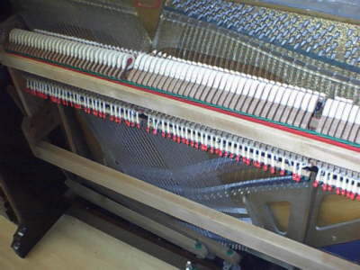 D'almaine hammers1