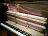 IMAG0060