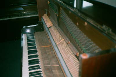 Open Willmott closeup